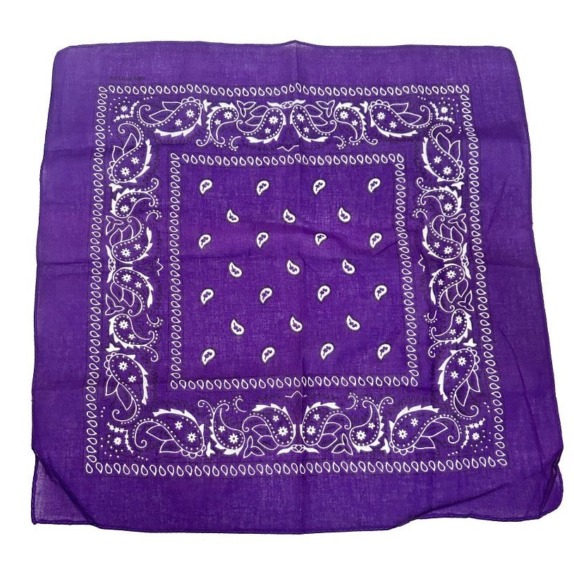 Purple Paisley Bandana 20x20in