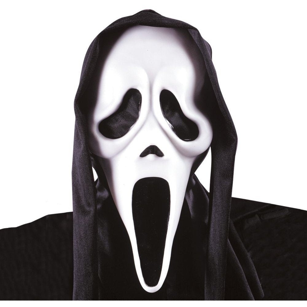 Mask With Shroud