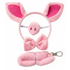Pig Accessory Kit