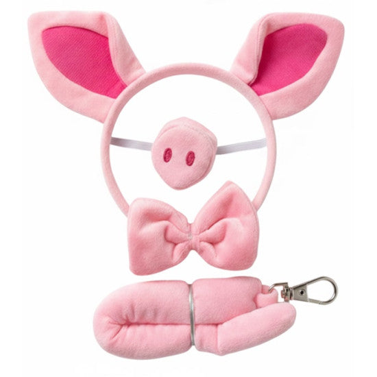 Pig Accessory Kit