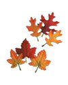 Autumn Leaves Fall Decor