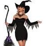 Adult Bewitchin' Costume