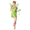 Adult Neverland Fairy