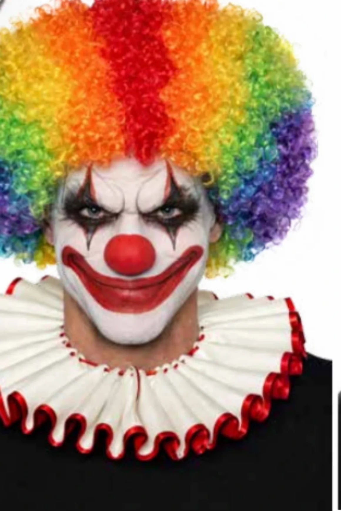 Rainbow Afro Clown Wig