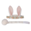 Hippity Hop Bunny Ears and Tail Accessory Set