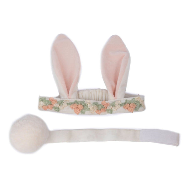 Hippity Hop Bunny Ears and Tail Accessory Set