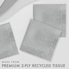 Luncheon Napkin 50 Count 2-Ply Shimmering Silver