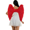 NEW: Red Feather Wings 26 x 26in.