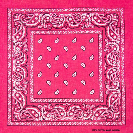 Pink Paisley Bandana
