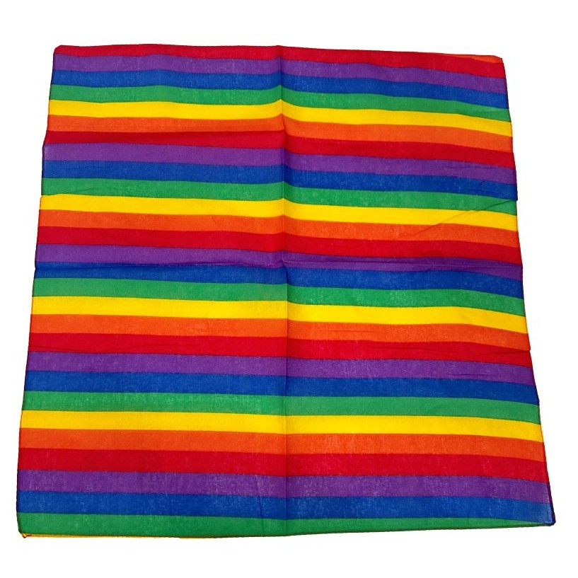Rainbow Paisley Bandana 20x20i