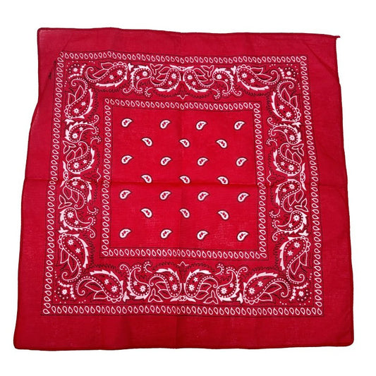Red Paisley Bandana 20x20inch