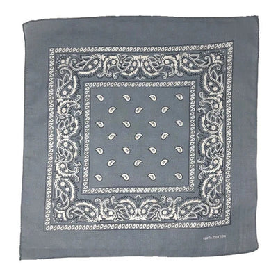 Silver Paisley Bandana