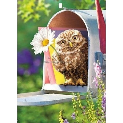 Avanti Baby Owl In Mailbox Encouragement Greeting Card