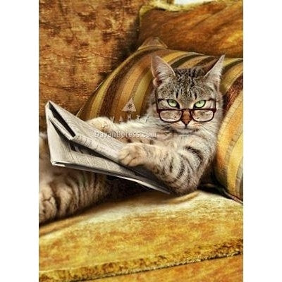 Avanti Cat Reading Newspaper Almost Funny Greeting Card