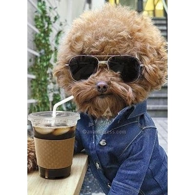 Avanti Cool Dog With Coffee Birthday Greeting Card