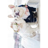Avanti Wedding Dogs Wedding Greeting Card