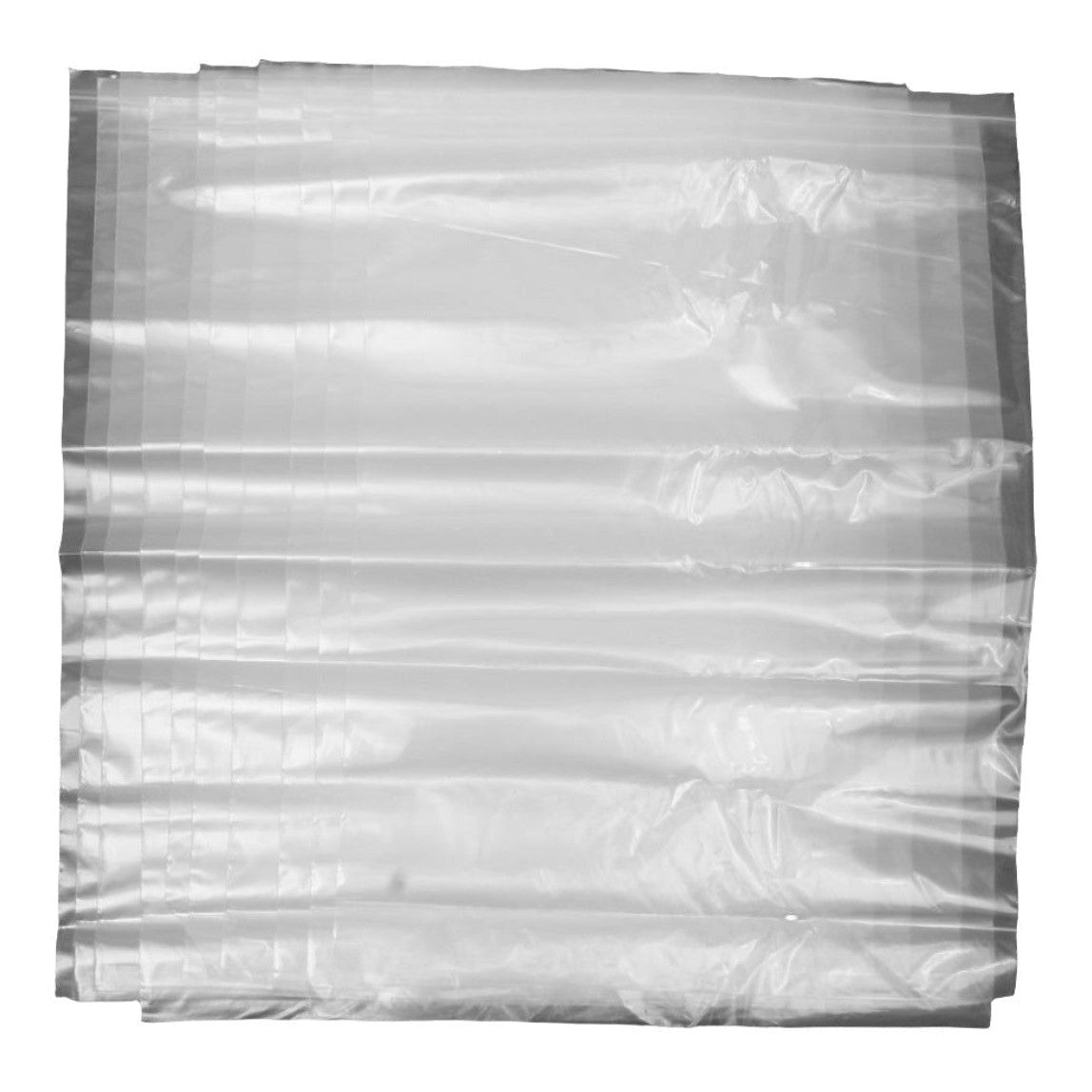 Balloon Transport Bag