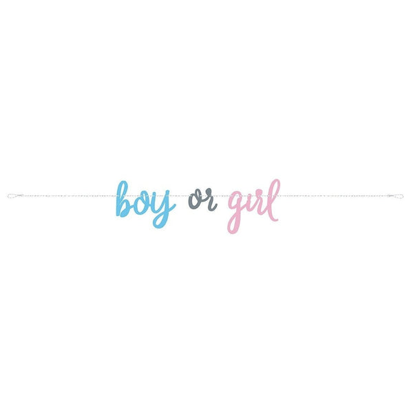 Blue Or Pink Gender Reveal Banner, 7Ft