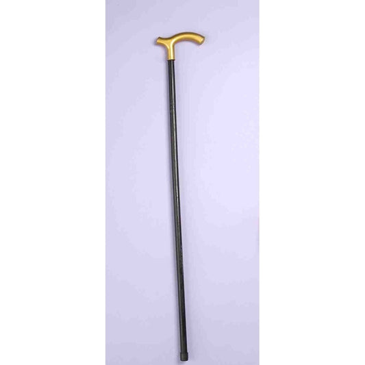 Cane - Walking