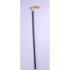Cane - Walking