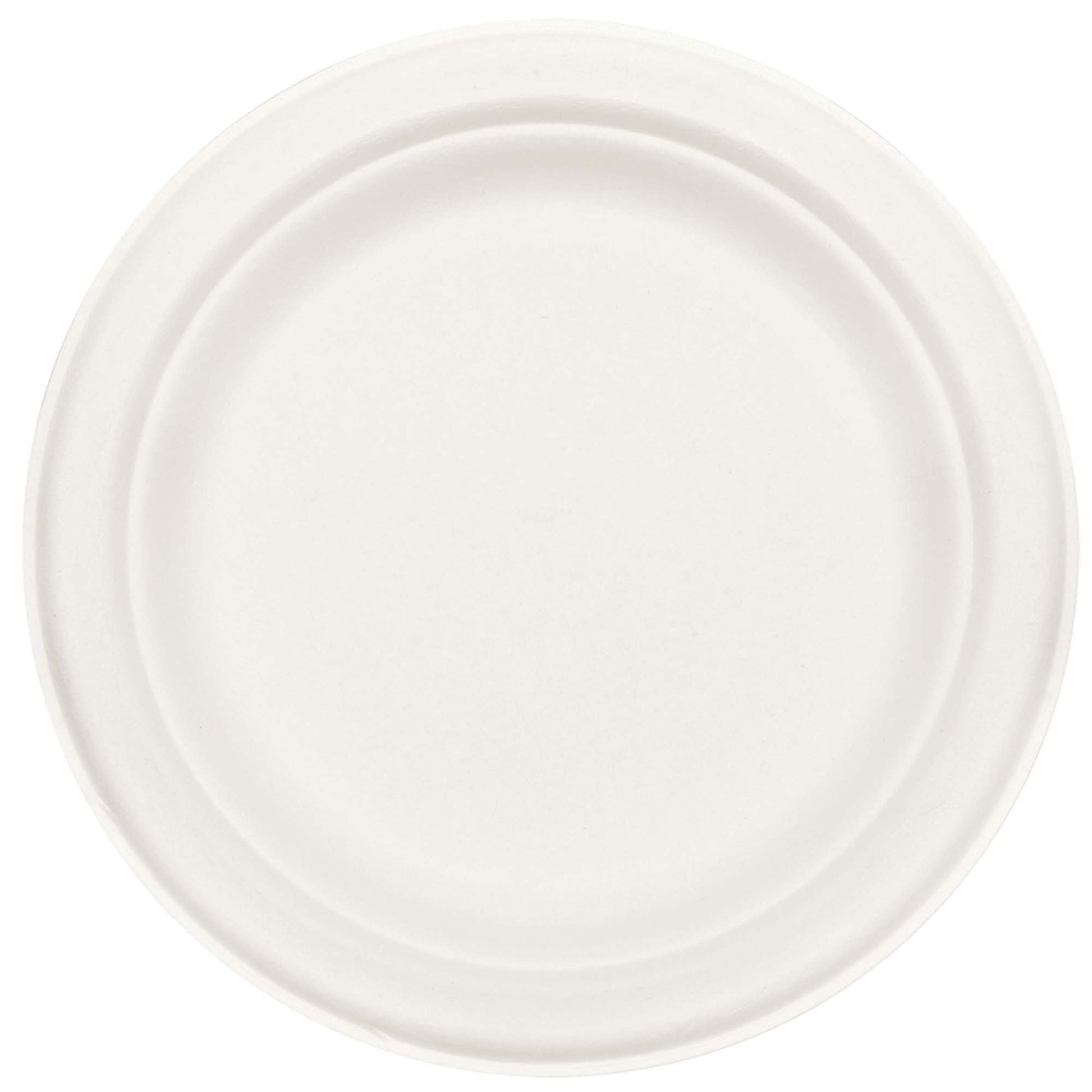 Eco Friendly Natural Sugar Cane White Round Plates, 6 3/4"