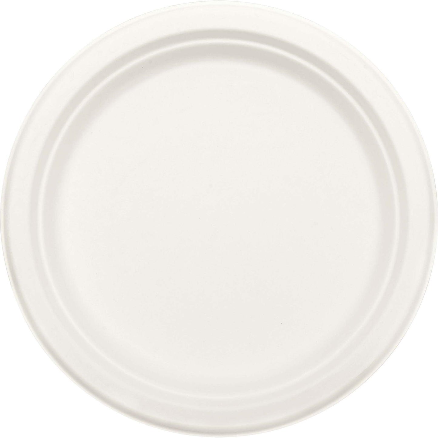 Eco Friendly Natural Sugar Cane White Round Plates, 10"