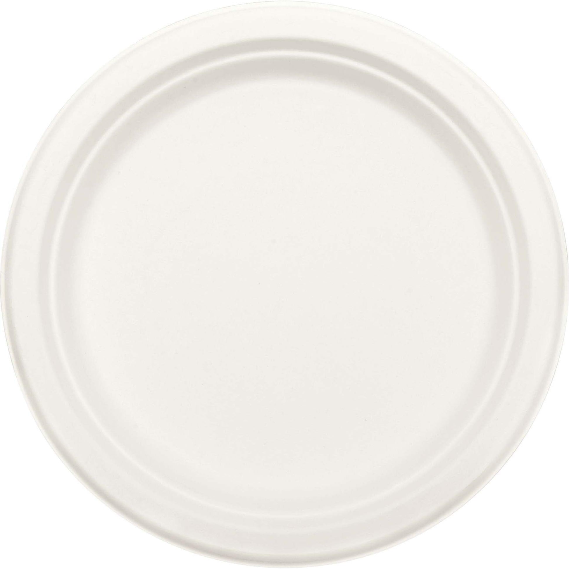Eco Friendly Natural Sugar Cane White Round Plates, 10"