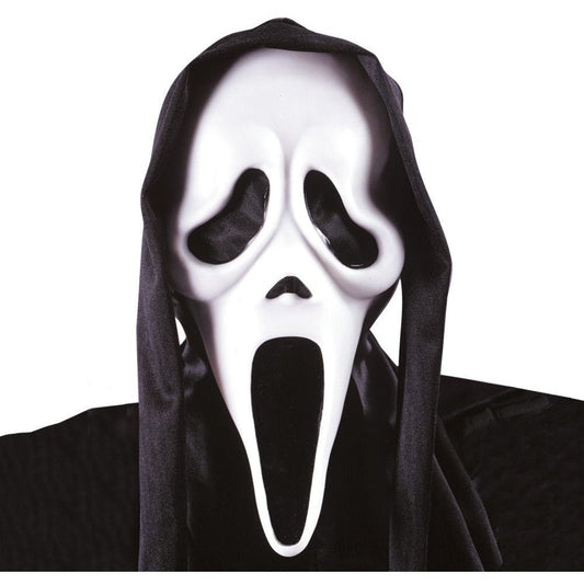 Mask With Shroud