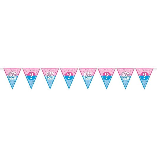 Girl Or Boy? Paper Pennant Banner
