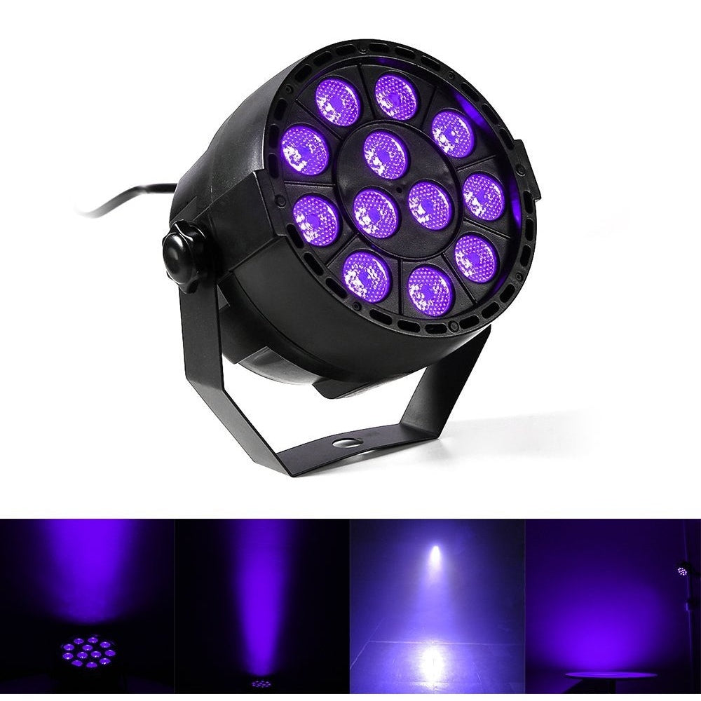 Blacklight - Hanging Uv