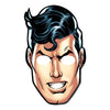 Justice League Heroes Unite Tm Paper Masks