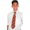 Necktie - Harry Potter Gryffindor