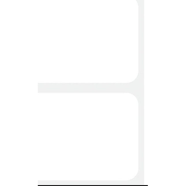 Plain White Name Tags, 100 Count