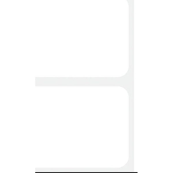 Plain White Name Tags, 100 Count