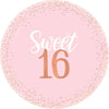 Blush Sixteen Foil Plates, 10 1/2"