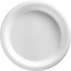 Frosty White Big Party Pack Plastic Plates, 7"