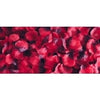 Rose Petals - 2000Pc Red