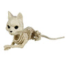 Skeleton Laying Cat 5" Prop