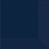 True Navy Beverage 2-Ply Napkins, 50 Count