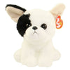 Ty - Marcel White Dog Reg