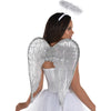 Angel Wings & Halo